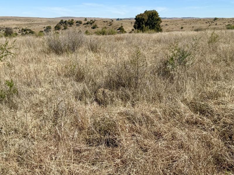 0 Bedroom Property for Sale in Lindley Free State